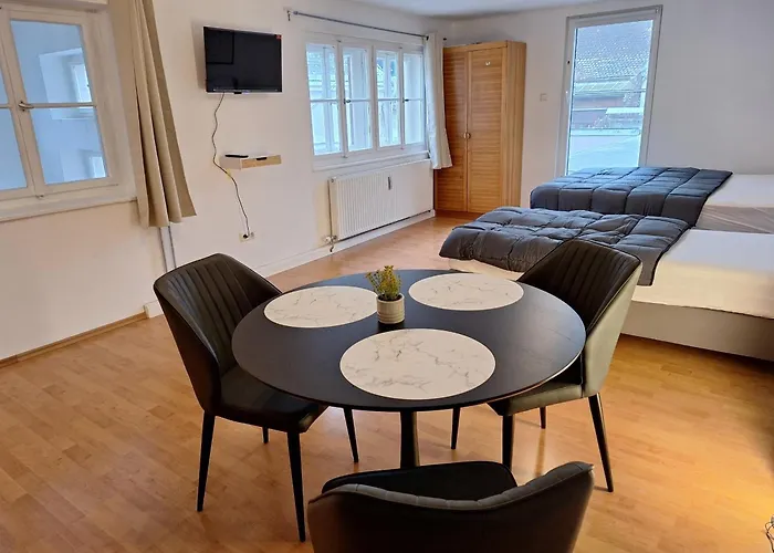Apartment Im Zentrum Von Wels - Self Check-In