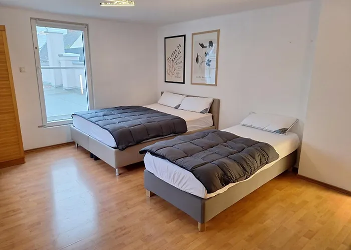 Apartment Im Zentrum Von Wels - Self Check-In